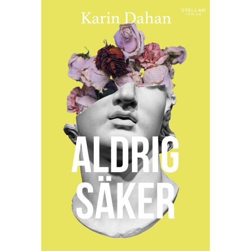 Karin Dahan Aldrig säker (bok, danskt band)