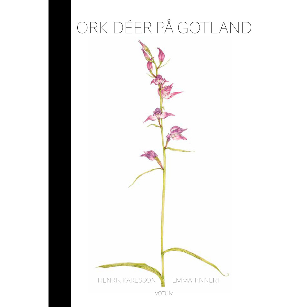 Produktbild för Orkidéer på Gotland (bok, halvklotband)