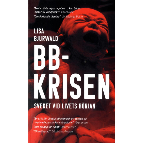 Lisa Bjurwald BB-krisen : sveket vid livets början (pocket)