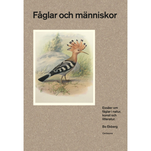 Bo Ekberg Fåglar och människor : essäer om fåglar i natur, konst och litteratur (inbunden)