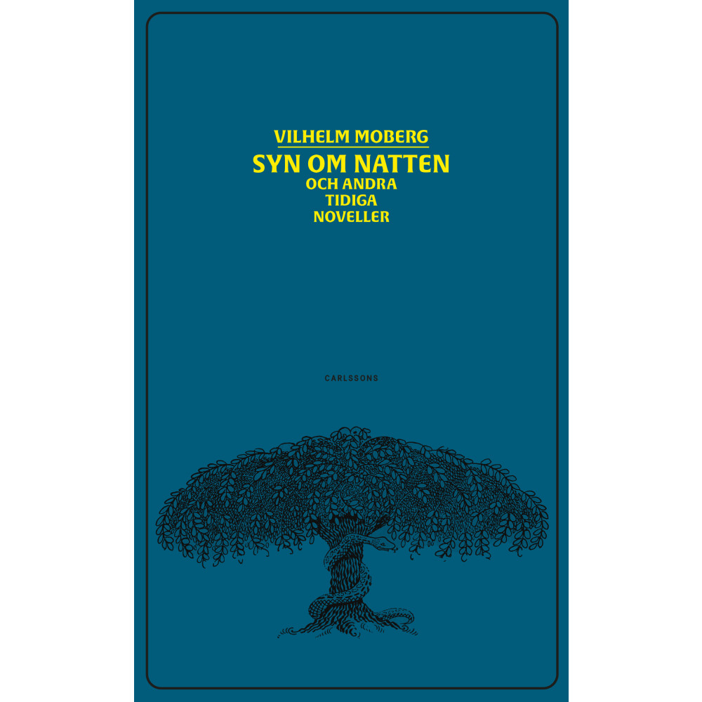 Produktbild för Syn om natten och andra tidiga noveller (inbunden)