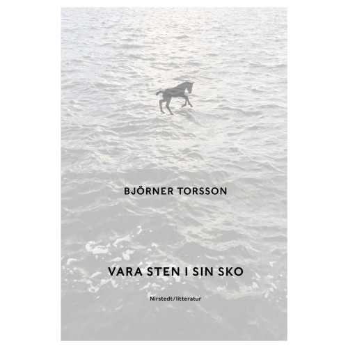 Björner Torsson Vara sten i sin sko (inbunden)