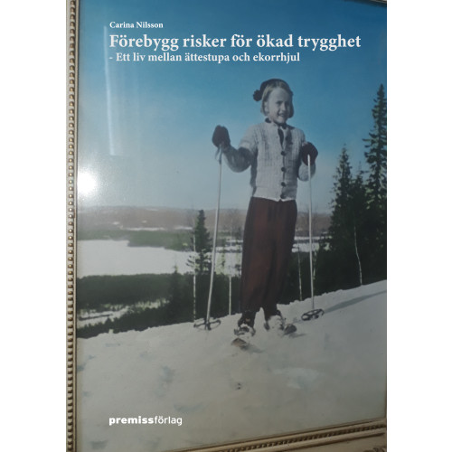 Carina Nilsson Förebygg risker för ökad trygghet : ett liv mellan ättestupa och ekorrhjul (bok, danskt band)