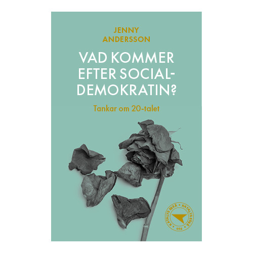 Jenny Andersson Vad kommer efter socialdemokratin? : tankar om 20-talet (häftad)