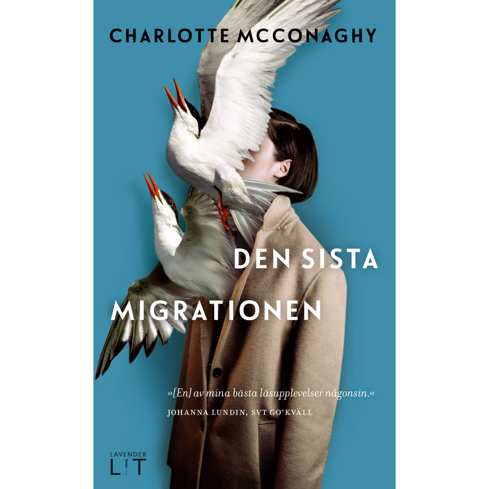 Produktbild för Den sista migrationen (pocket)
