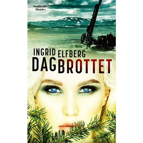 Ingrid Elfberg Dagbrottet (pocket)