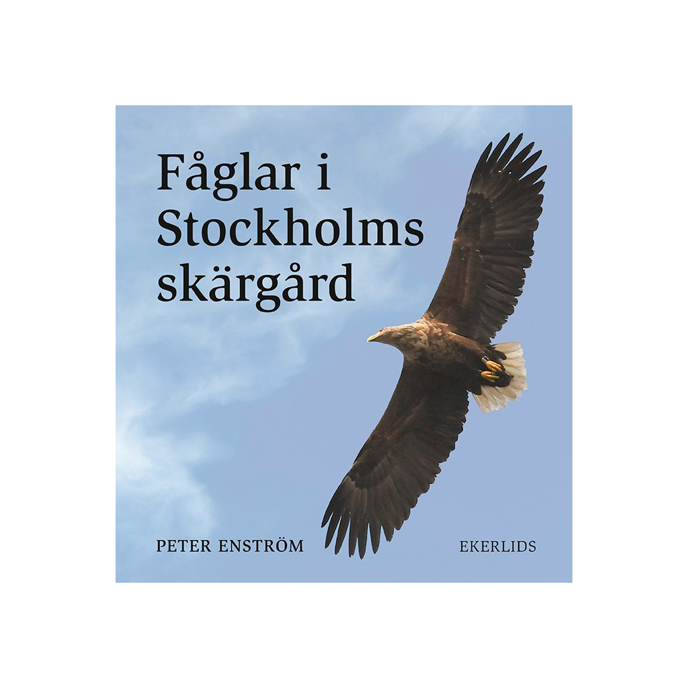Produktbild för Fåglar i Stockholms skärgård (inbunden)