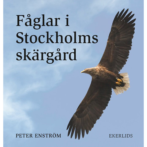 Peter Enström Fåglar i Stockholms skärgård (inbunden)
