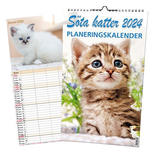 Livsenergi Söta katter Planeringskalender 2024 (bok, spiral)