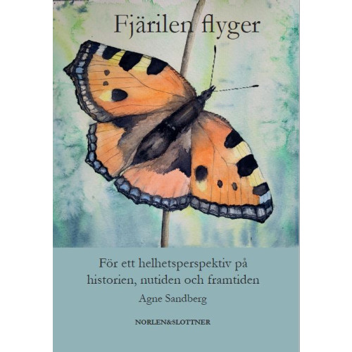 Agne Sandberg Fjärilen flyger (häftad)