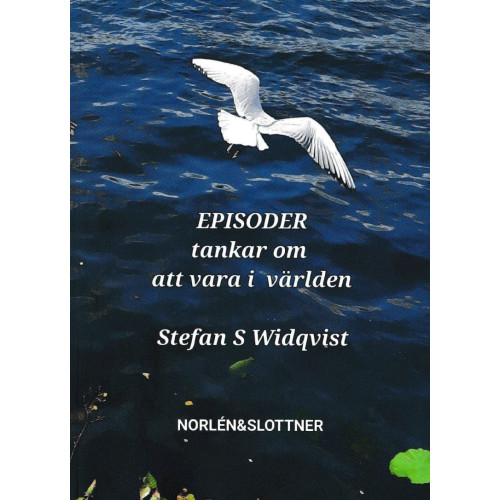 Stefan S Widqvist Episoder : tankar om att vara i världen (häftad)