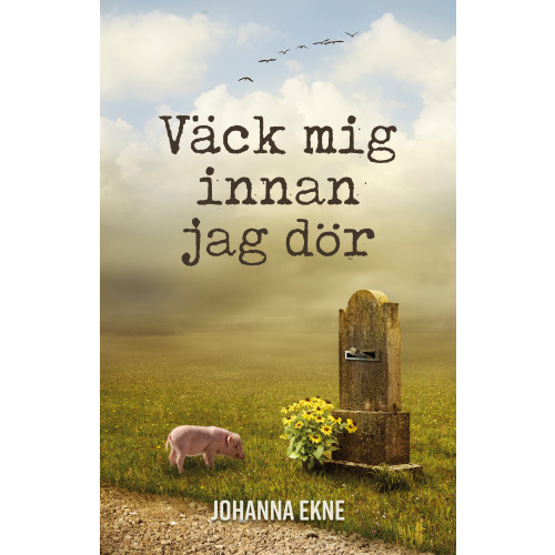 Johanna Ekne Väck mig innan jag dör (häftad)