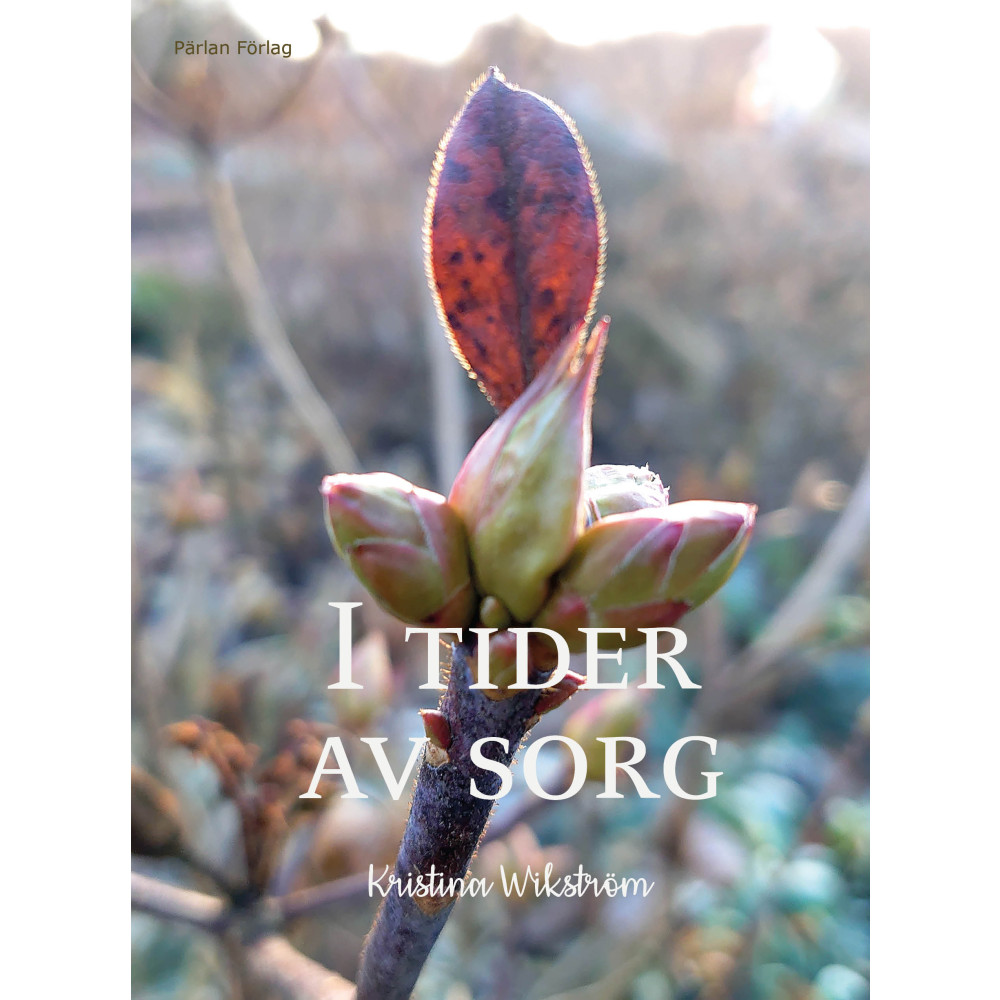 Produktbild för I tider av sorg (inbunden)