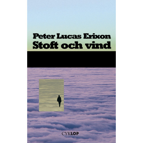 Peter Lucas Erixon Stoft och vind : roman (häftad)