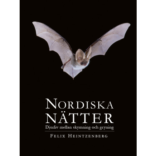 Felix Heintzenberg Nordiska Nätter : djurliv mellan skymning och gryning (inbunden)