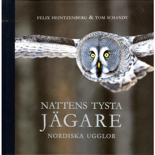 Tom Schandy Nattens tysta jägare : nordiska ugglor (bok, halvklotband)