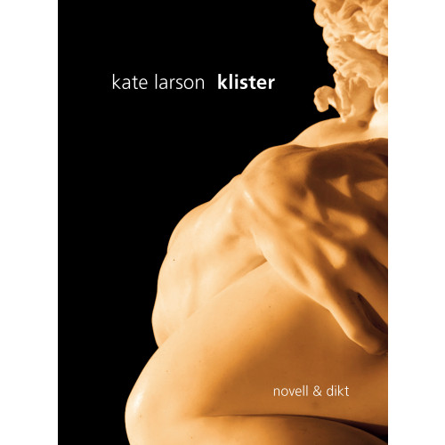 Kate Larson Klister (bok, danskt band)