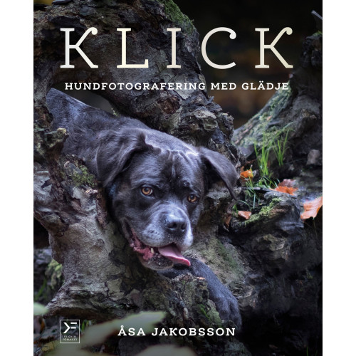 Åsa Jakobsson Klick : hundfotografering med glädje (inbunden)