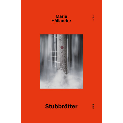 Marie Hållander Stubbrötter (bok, kartonnage)