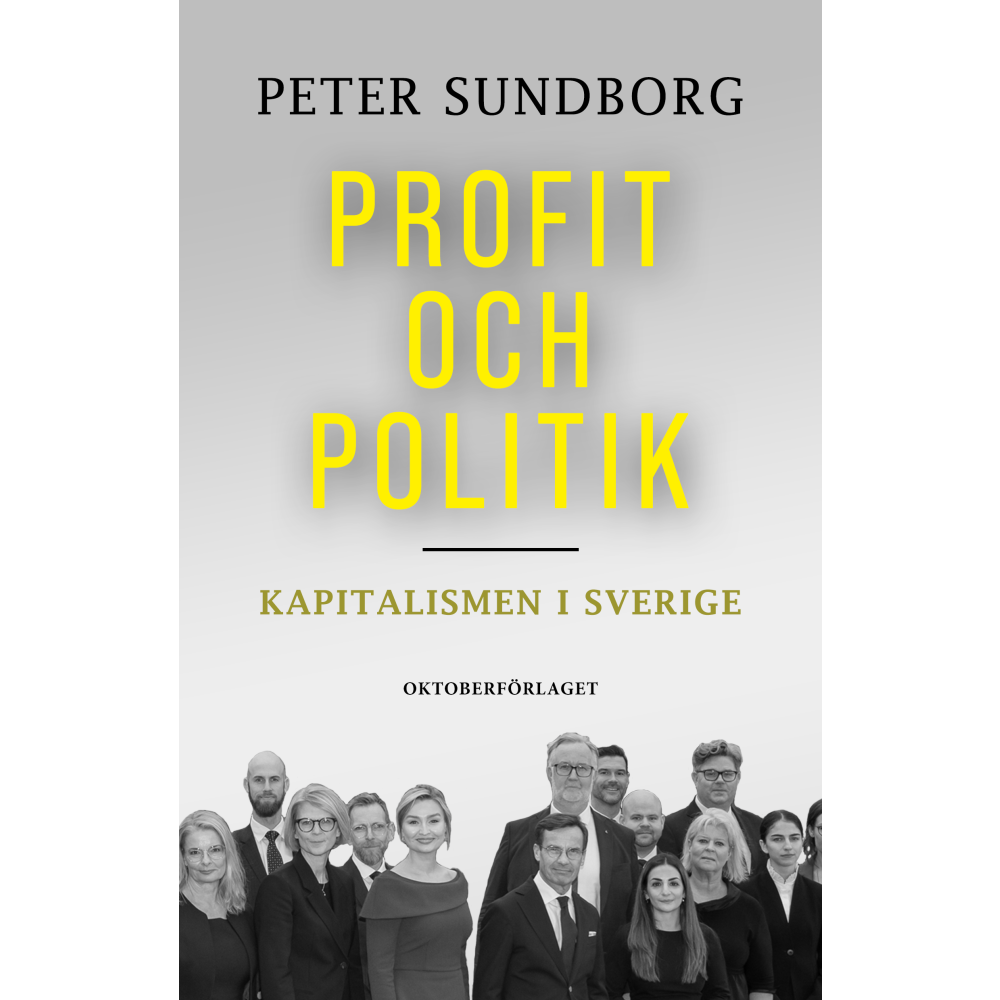 Produktbild för Profit och politik Kapitalismen i Sverige (häftad)