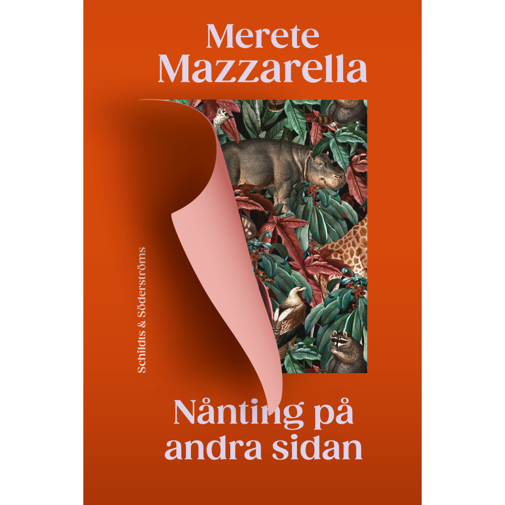 Produktbild för Nånting på andra sidan (inbunden)