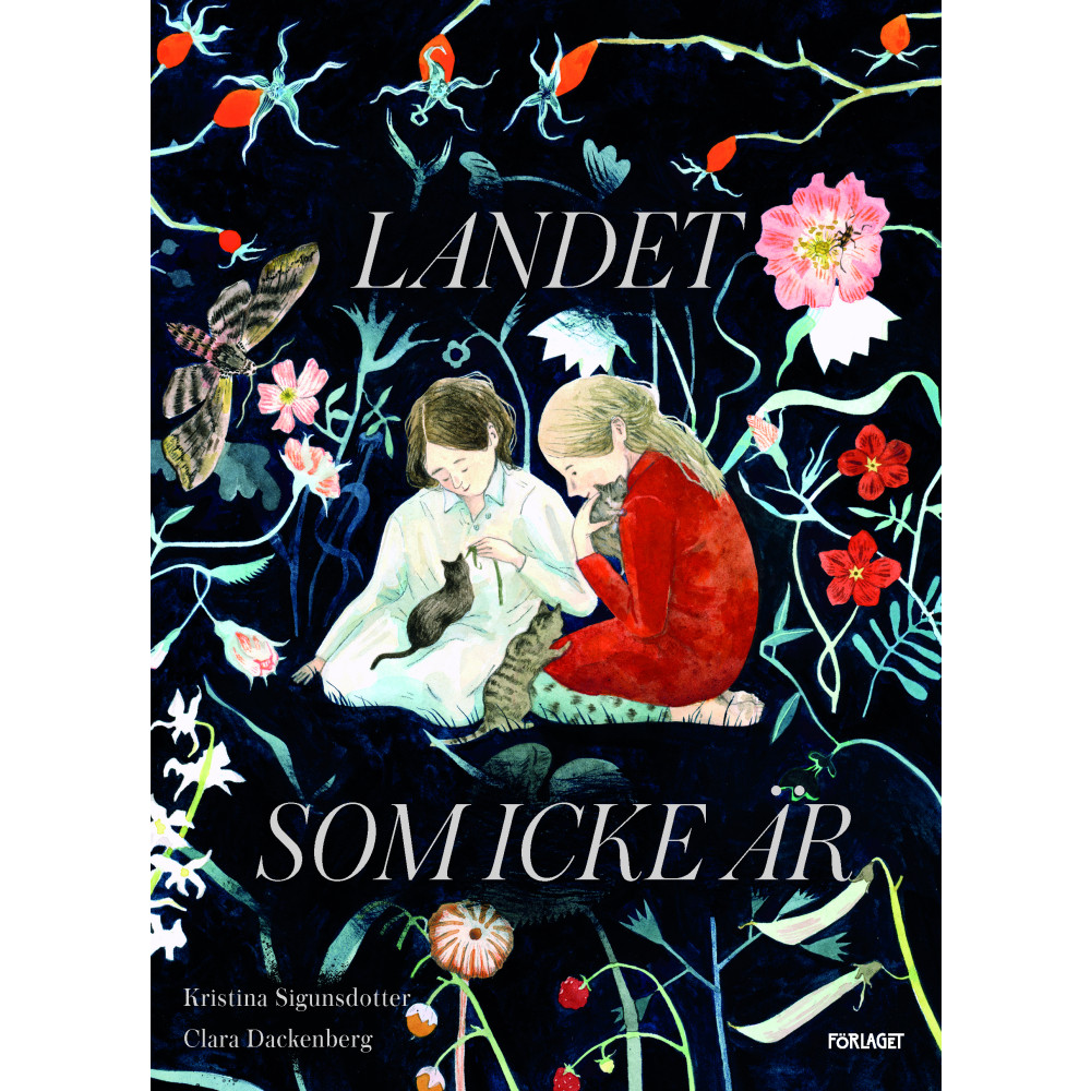 Produktbild för Landet som icke är (bok, kartonnage)