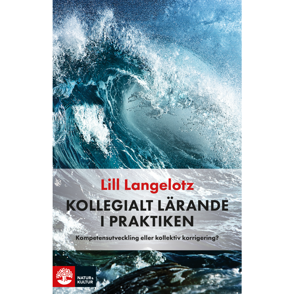 Produktbild för Kollegialt lärande i praktiken : kompetensutveckling eller kollektiv korrigering? (häftad)