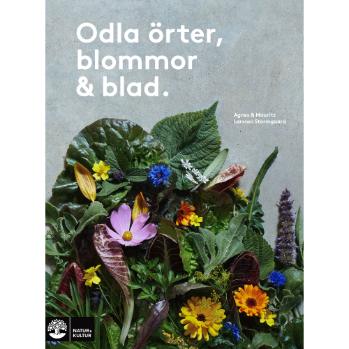 Agnes Larsson Stormgaard Odla örter, blommor & blad (inbunden)