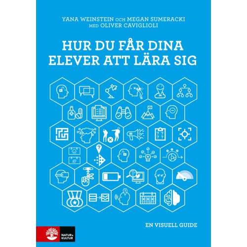 Yana Weinstein Hur du får dina elever att lära sig : en visuell guide (bok, danskt band)