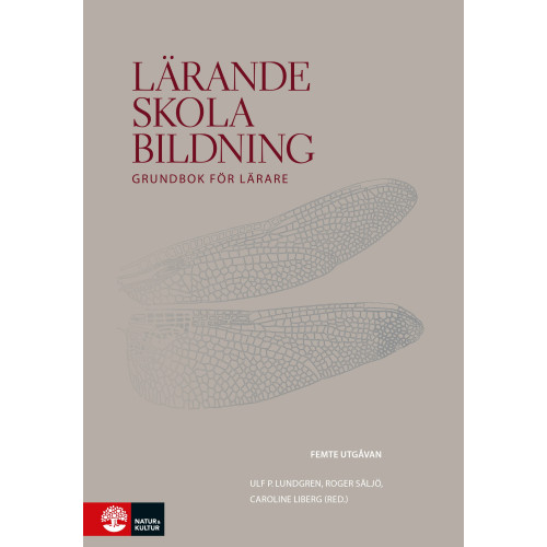 Ulf P. Lundgren Lärande, skola, bildning (bok, flexband)