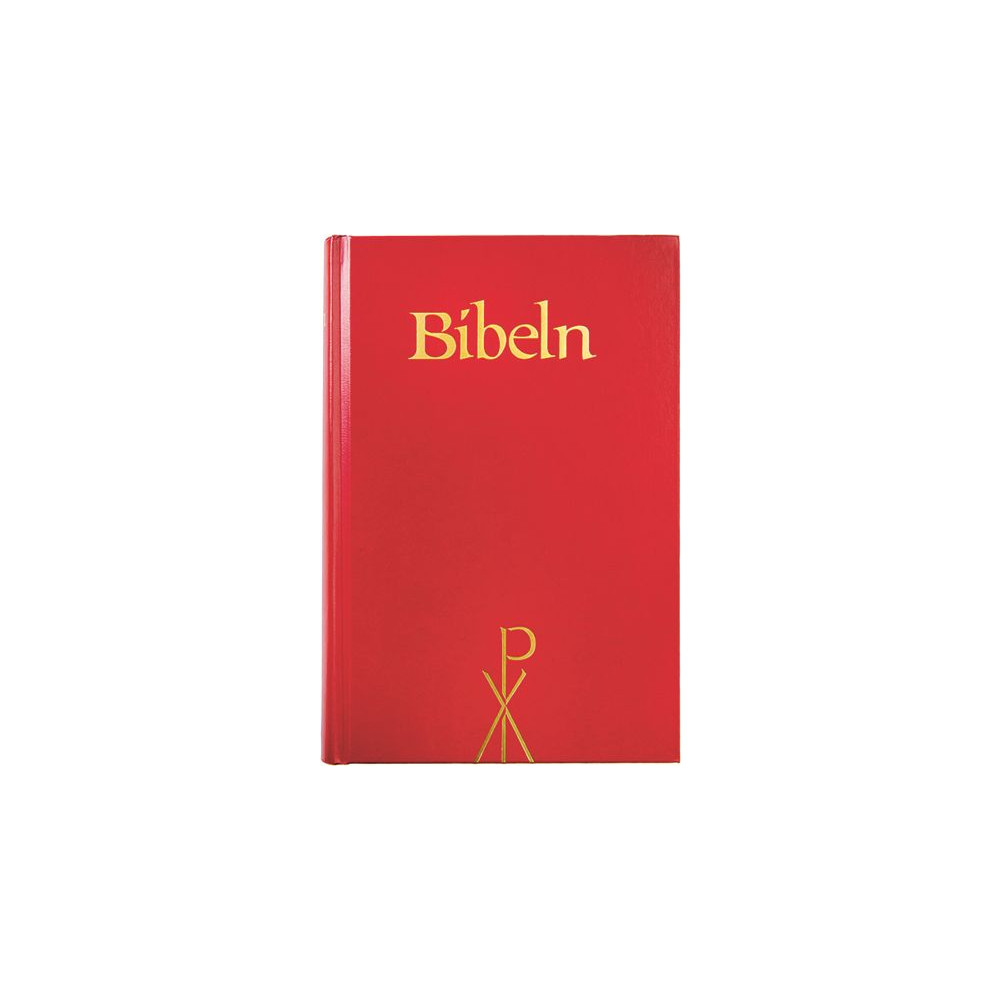 Produktbild för Bibel 2000, storstil (inbunden)