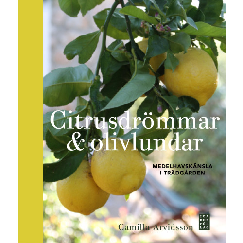 Camilla Arvidsson Citrusdrömmar & olivlundar : medelhavskänsla i trädgården (inbunden)