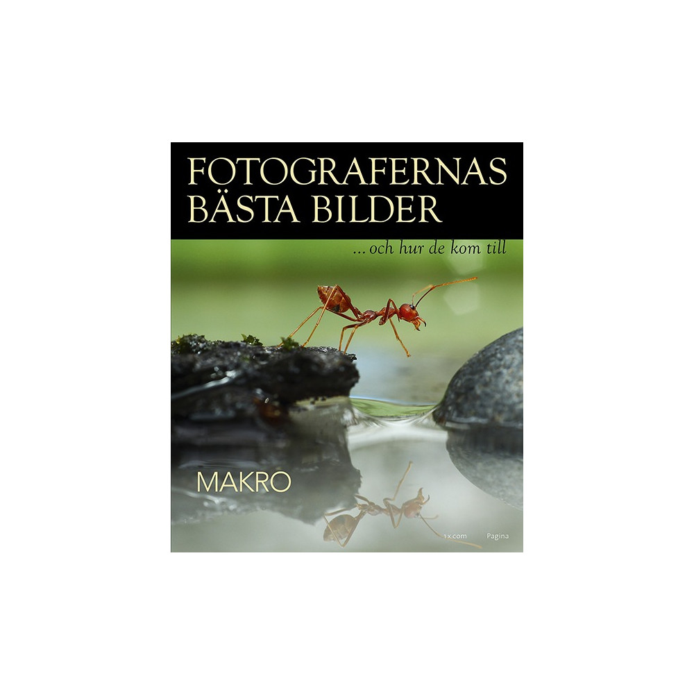 Produktbild för Fotografernas bästa bilder - Makro (inbunden)