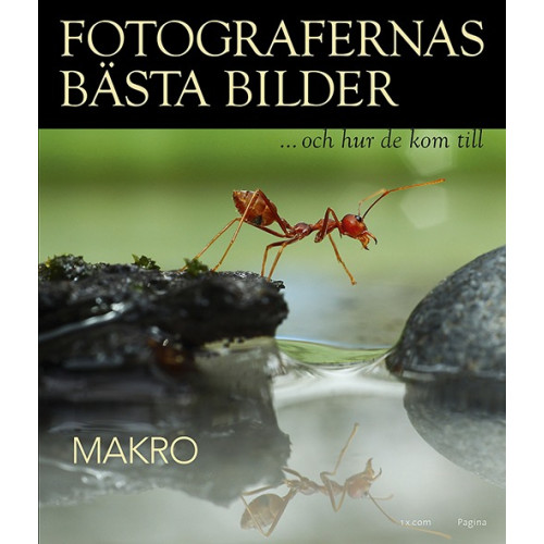Pagina Förlags Fotografernas bästa bilder - Makro (inbunden)