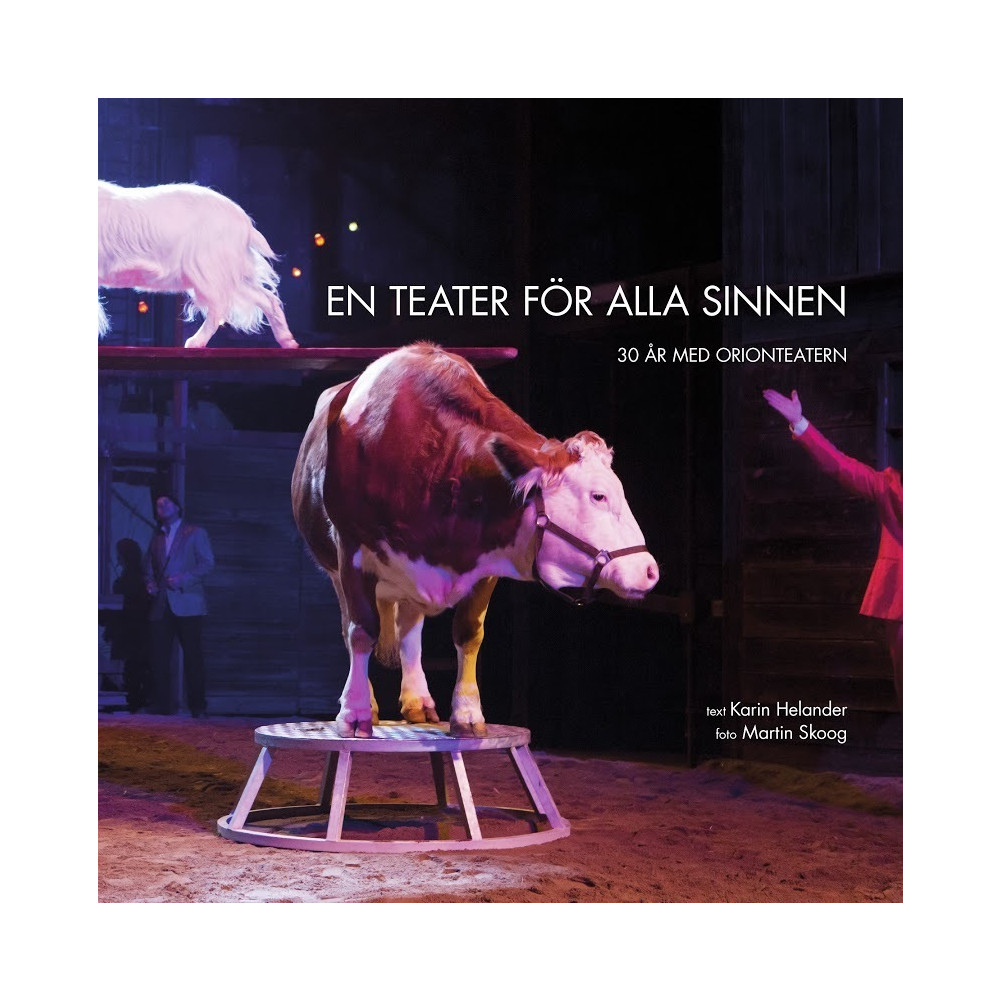 Produktbild för En teater för alla sinnen : 30 år med Orionteatern (häftad)