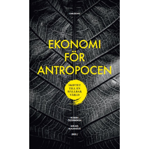 Robert Österbergh Ekonomi för Antropocen : skiftet till en hållbar värld (bok, danskt band)