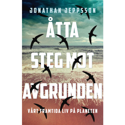Jonathan Jeppsson Åtta steg mot avgrunden : vårt framtida liv på planeten (inbunden)