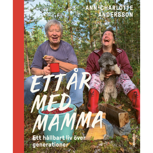 Ann-Charlotte Andersson Ett år med mamma : ett hållbart liv över generationer (inbunden)