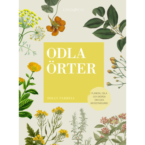 Holly Farrel Odla örter : planera, odla och skörda  din egen kryddträdgård (bok, kartonnage)