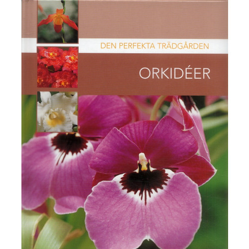 Läsförlaget Orkidéer (inbunden)