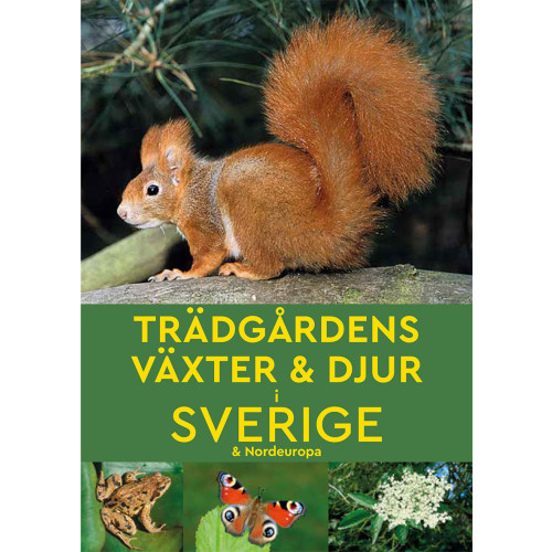 Marianne Taylor Trädgårdens växter & djur i Sverige & Nordeuropa (häftad)