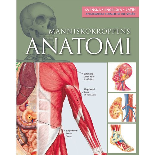 Ken Red Ashwell Människokroppens anatomi (inbunden)
