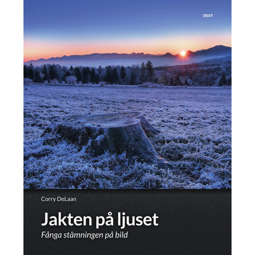 DeLaan Corry Jakten på ljuset : fånga stämningen på bild - skapa uttrycksfulla bilder (bok, danskt band)