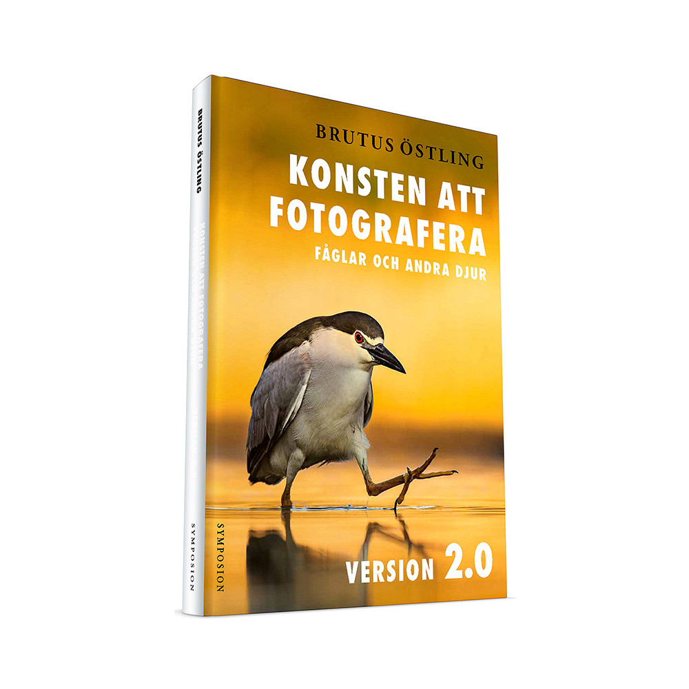Produktbild för Konsten att fotografera fåglar och andra djur : version 2.0 (inbunden)
