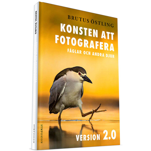 Brutus Östling Konsten att fotografera fåglar och andra djur : version 2.0 (inbunden)