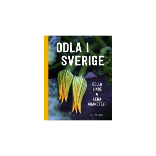 Bella Linde Odla i Sverige / Lättläst (inbunden)
