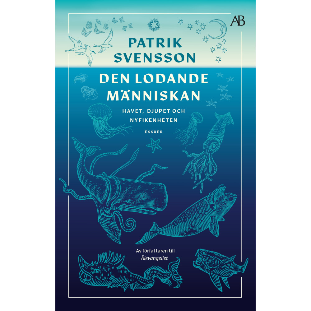 Produktbild för Den lodande människan : havet, djupet och nyfikenheten (bok, storpocket)