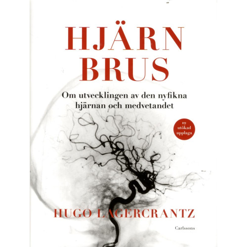Hugo Lagercrantz Hjärnbrus : om utvecklingen av den nyfikna hjärnan och medvetandet (inbunden)