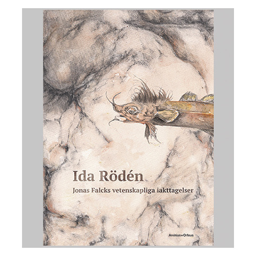 Ida Rödén Jonas Falcks vetenskapliga iakttagelser (inbunden)