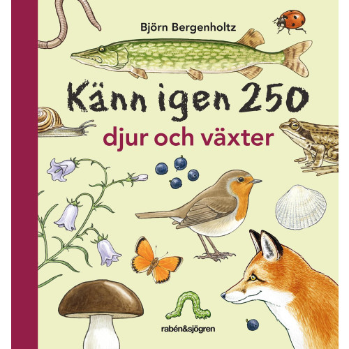 Björn Bergenholtz Känn igen 250 djur och växter (bok, flexband)